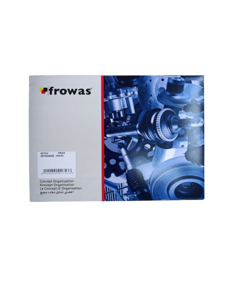 Citroen C4 Hava Filtresi (FROW)